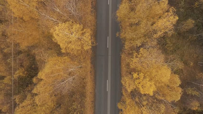 Autumn road from a height