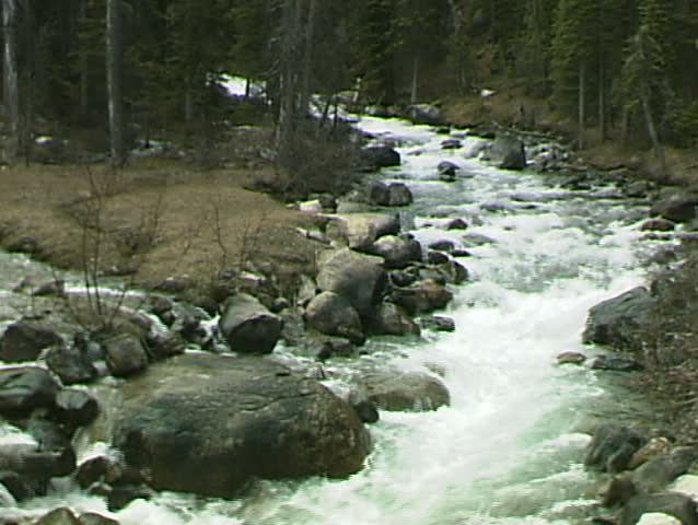 Whitewater Stream