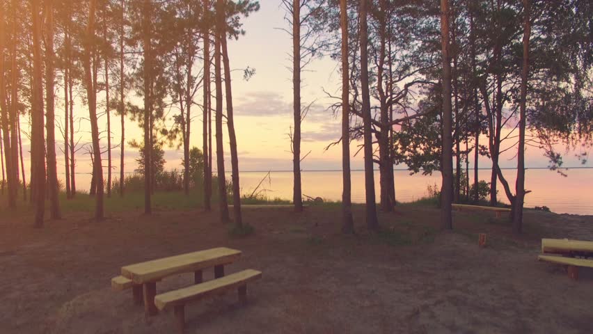Aerial Drone Flight Footage: Rise up above picnic area surrounded by pine trees. In the Background Beautiful Sky and Water in sunset soft light. Magestic landscape. Kiev Sea, Ukraine, Europe. 4K