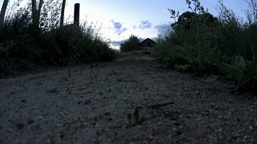 Country road to abandoned farm, scary shot
