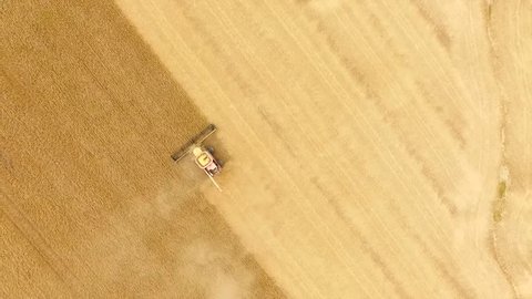 Aerial shot of a combine harvesting golden wheat