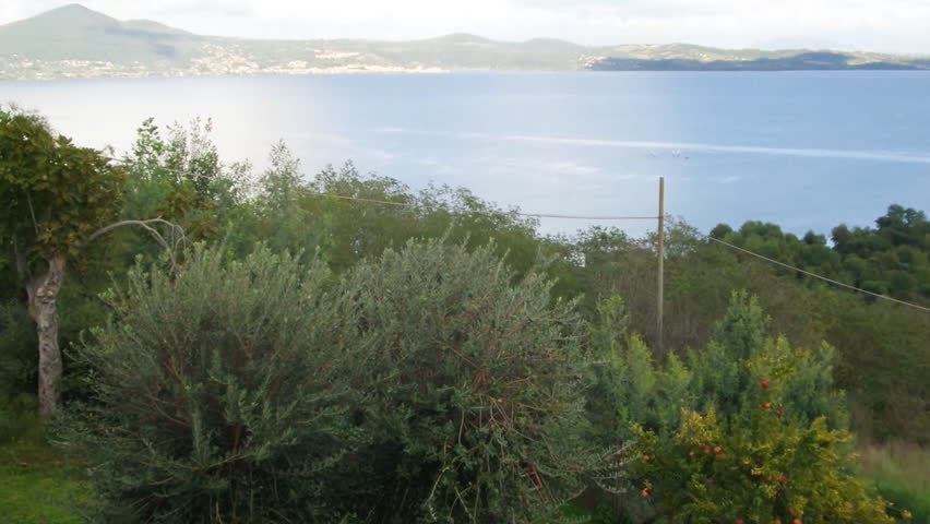 Beautiful green garden on the shore of Bracciano Lake in Lazio, Italy.