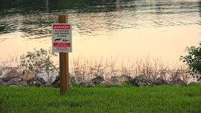 No swimming. Danger. Alligators and snakes in area. Stay away from the water. Do not feed wildlife. Signs around lakes in Orlando. Alligator - human interaction prevention. 