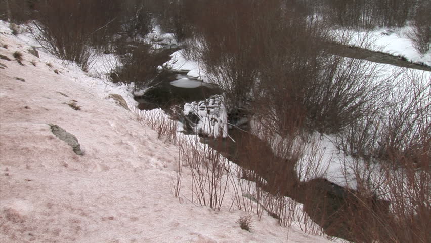 Snowy Creek 