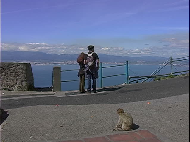 Tourist Lookout