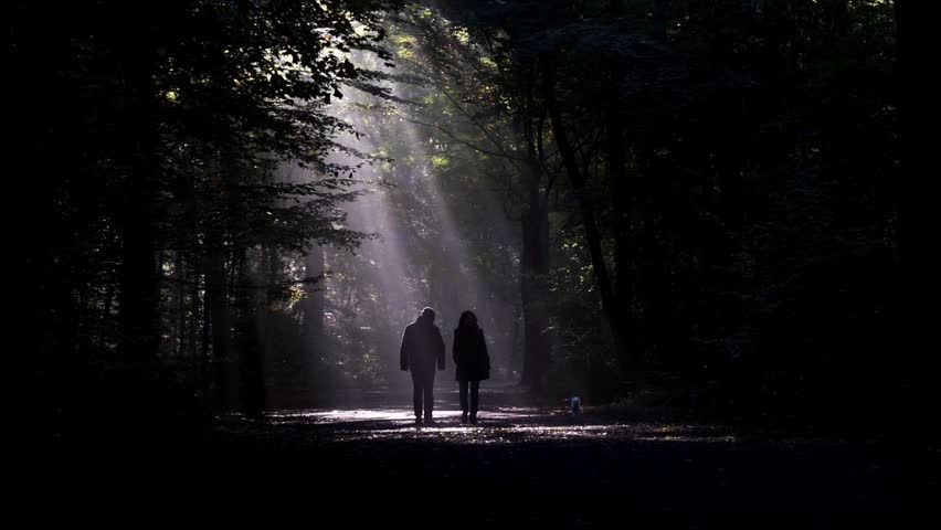 Couple Walking the Dog, Silhouetted : video stock a tema (100 ...