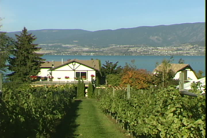St. Hubertus Vineyard