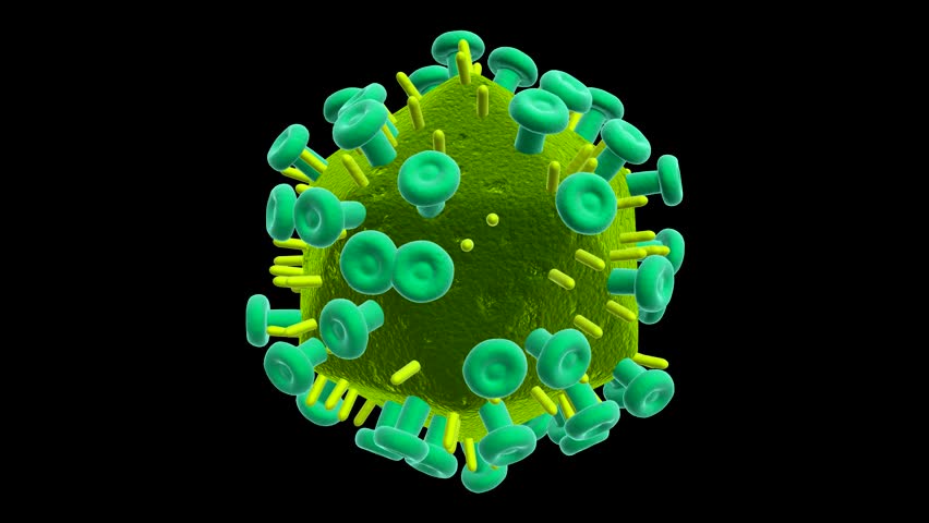 Hi Virus  Animation  Stock Footage Video 100 Royalty free 