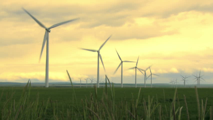 Wind Farm Turbines in wheat field