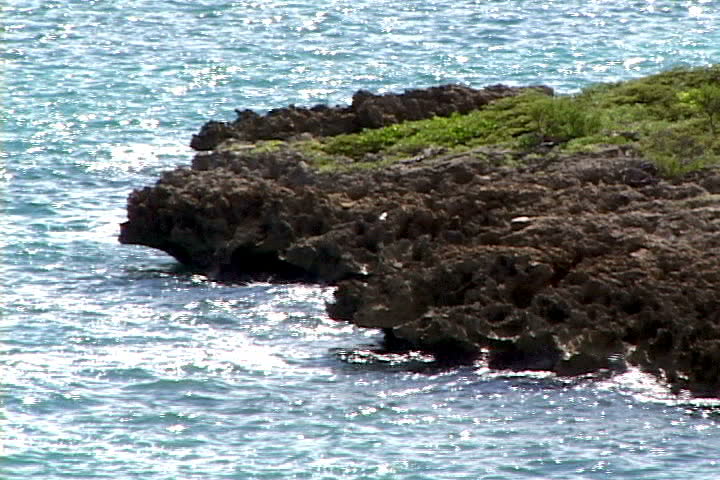 Shoreline