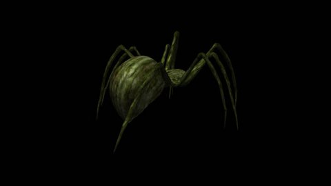 Giant Spider - Walk Loop - Tropical Green - Back Angle - Alpha Channel - Realistic 3D animation on transparent background about Halloween, horror, mystic, fantasy, dream, witchery, science., nature..