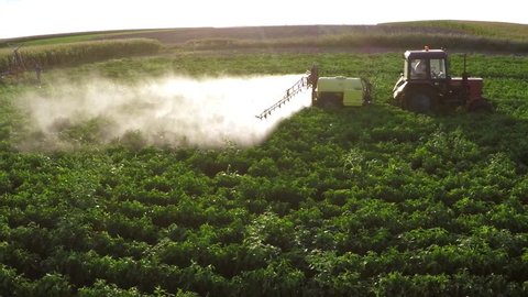 The tractor pulls machine for a spraying in a field of peppers. Aerial footage.