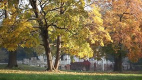 Autumn in the park Alexandria. Bila Tserkva. Beautiful autumn leaves fall to the ground. People walk along the paths.