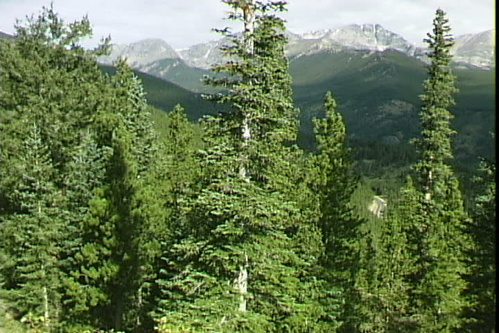 Rockies Park Pines 