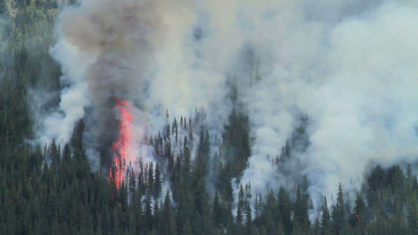 Large forest fire in the Rocky Mountains
