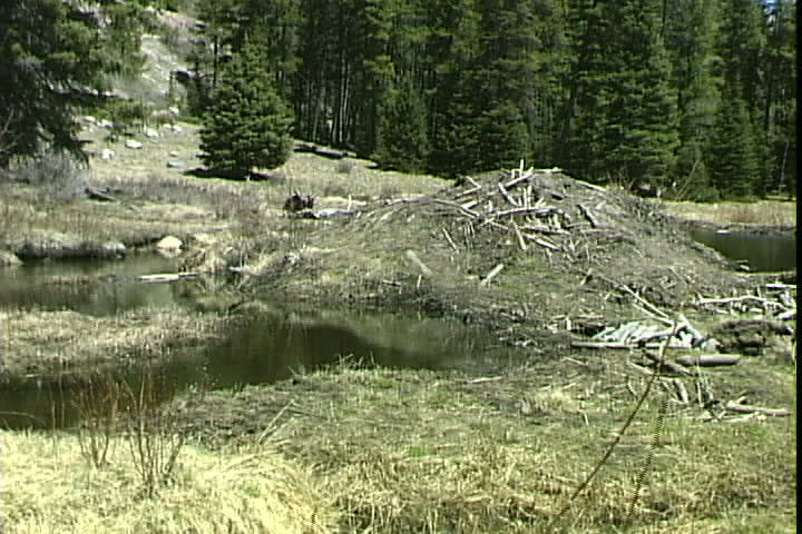 Rockies Park Beaver Dam