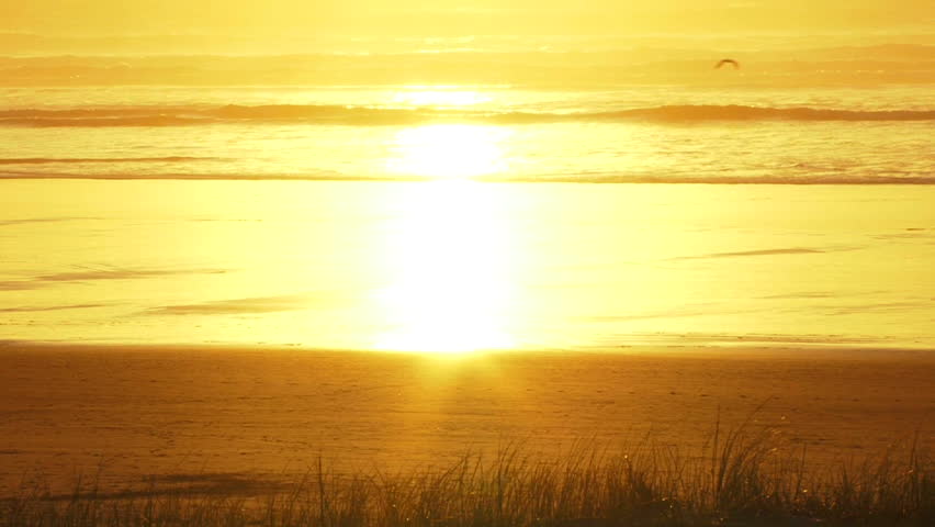 Ocean Sunset with Couple Walking Sandy Beach