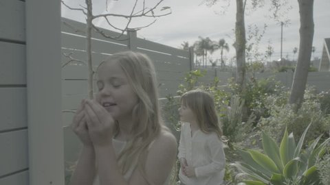 Front View Two Attractive Girls Driving Stock Footage Video (100%