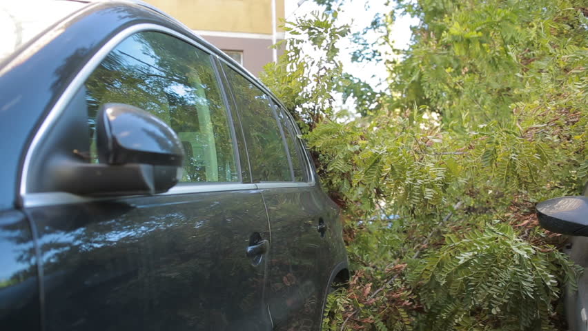 tree fell on the car. disaster. strong wind. Royalty-Free Stock Footage #20726395