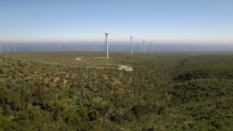 aerial shot of a wind farm in the desertÂ´s flowers 2