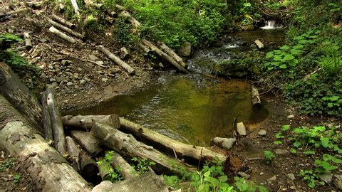 A stream which is pieces of wood