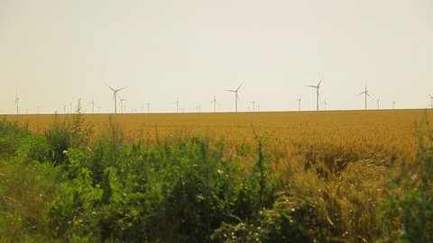 Wind turbine on a wheat field in the summer