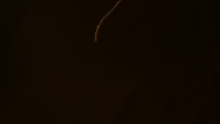 Fuse for dynamite ignited. Bundle of dynamite in hand with a burning fuse.  