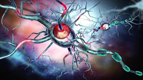 Nerve cells, concept for neurodegenerative and neurological disease, tumors, brain surgery. 