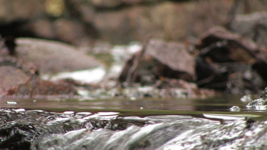 Small stream with pure water