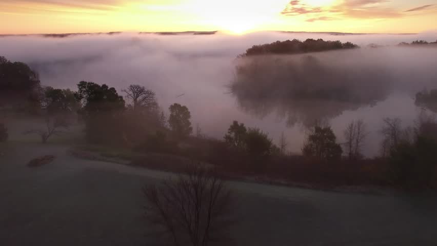 Surreal dawn with thick fog blanketing river valley, aerial view. A careful observer can see a bald eagle perched on a branch far below.