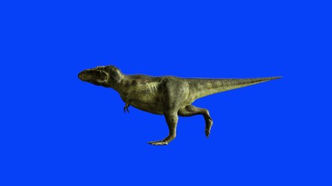 animate a running dinosaur Tyrannosaurus, Stock Video