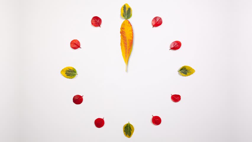 Autumn Time - Clock of different autumn leafs