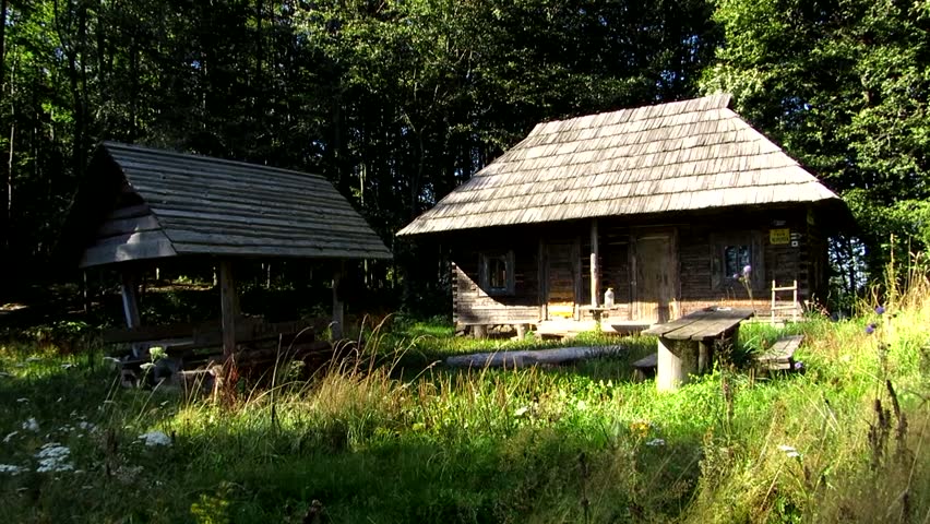 Tourist shelter in a forest