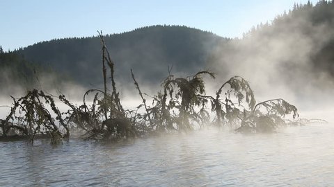 Drifting fog above mountain lake through the trees