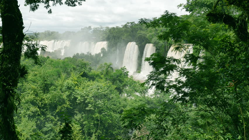 муссонные тропические леса. качели над пропастью убуд. джунгли 5 букв. вечнозеленые тропические дождевые леса. джунгли 5 букв.