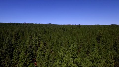 Aerial pan for Northwest Forest in the Summer.  Pan from right to left showing Forest in Central Oregon in the Summer.