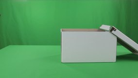 Beautiful little kitten Scottish Fold in box on a Green Screen stock footage video