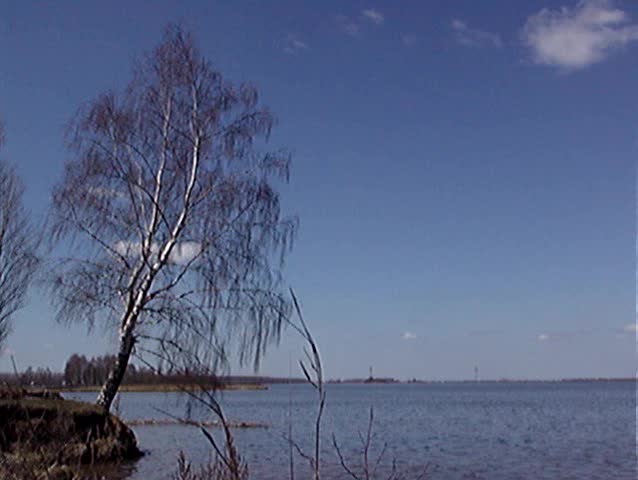 Coast of the river.