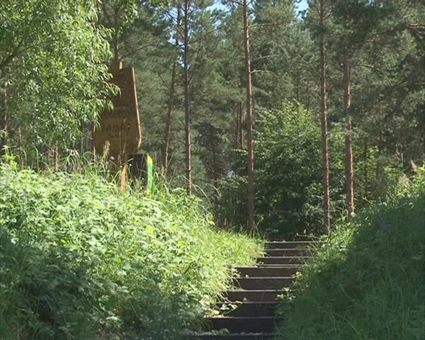 stairs toward mountain resort in wild nature. 