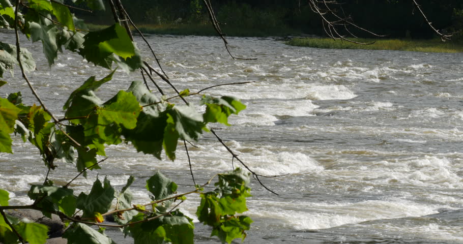 Potomac River Rushing Water Near Harpers Ferry with Trees, 4K