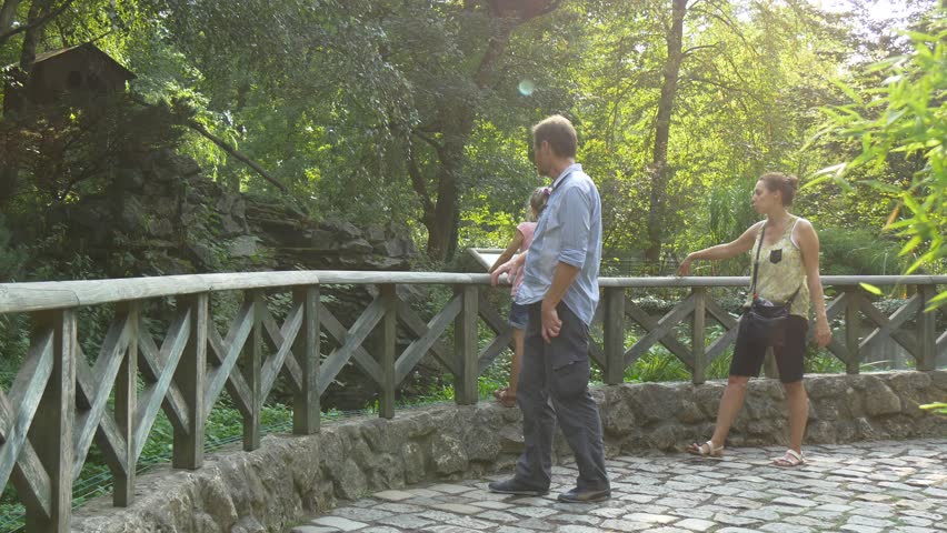 a Small Group of Tourists Has Approached to a Wooden Fencing. They Are in the Centre of Reserve of a City of Opole. the Tourists Try to See in Thickets at Least One Wild Animal.