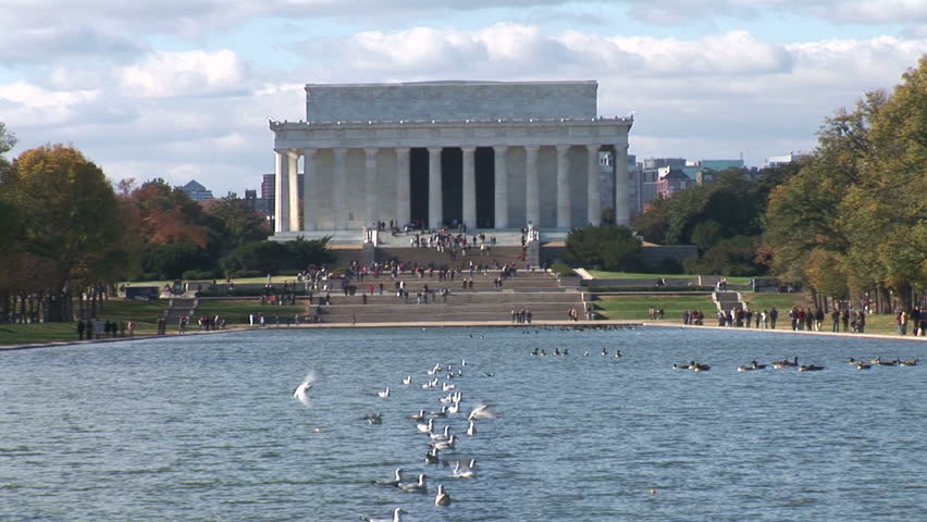 Reflecting Pool Birds ws