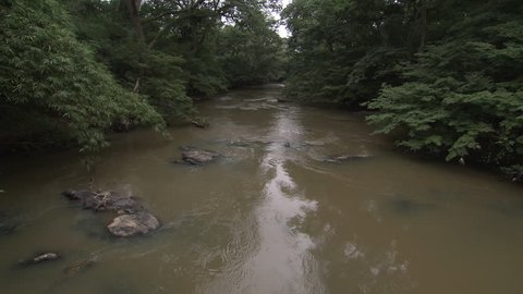 Osogbo, Nigeria - August 2013; The river Osun in the Sacred Grove