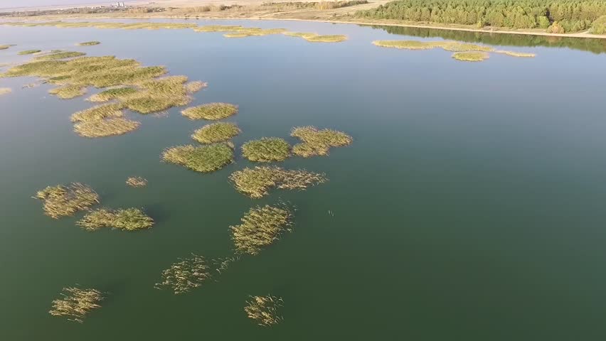 Landscape with the lake