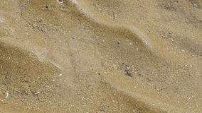 Fine sand dunes full of fluid moving surface on the sea beach 4K 2160p 30fps UltraHD footage - Shiny shallow water on the ocean beach natural tide and ebb ocean effect by the day  3840X2160 UHD video