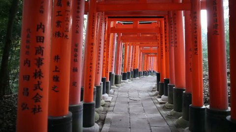 Red Torii Gates in Kyoto, Japan (Fushimi Inari Shrine)