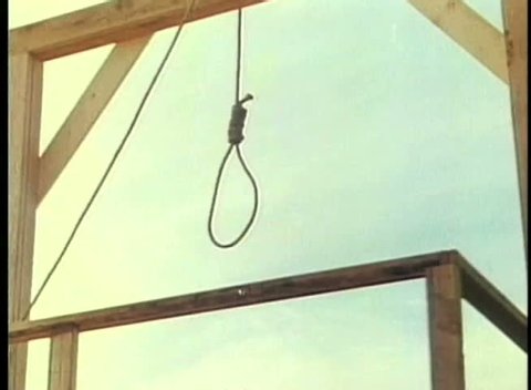 Cat in door jam survives