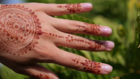 Woman Hand with Mehndi Henna Tattoo Closeup