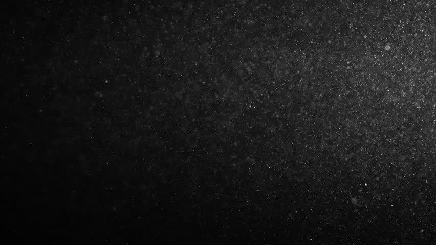 Natural Organic Dust Particles Floating On Black Background. Glittering Sparkling Particles Randomly Spin In The Air With Bokeh. White Dynamic Particles With Slow Motion. Particles Shimmering In Space