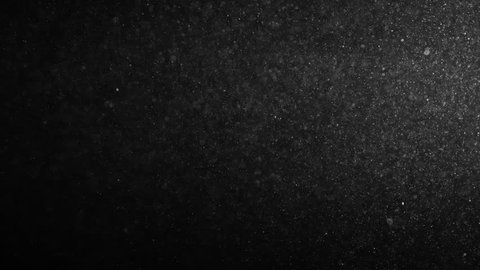 Natural Organic Dust Particles Floating On Black Background. Glittering Sparkling Particles Randomly Spin In The Air With Bokeh. White Dynamic Particles With Slow Motion. Particles Shimmering In Space